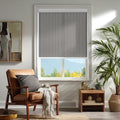  Paloma-Steel Gray